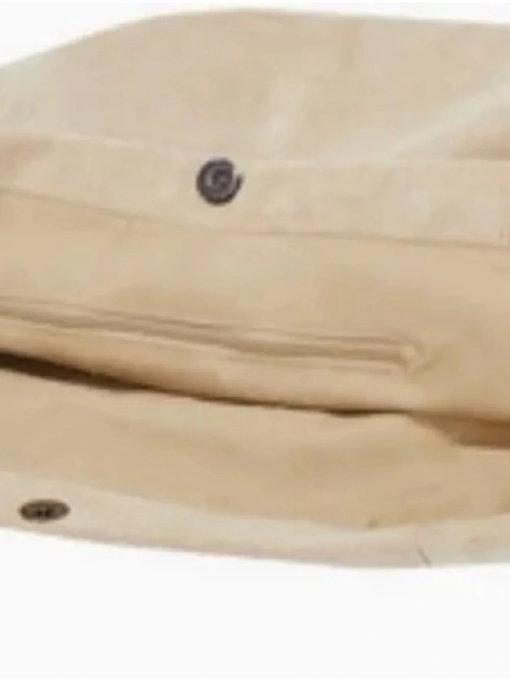 Beige/Taupe Hobo Shoulder Bag